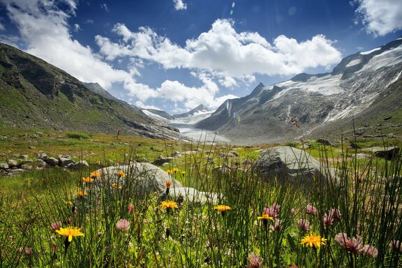 Untersulzbachtal © Wildkogel Arena Neukirchen & Bramberg