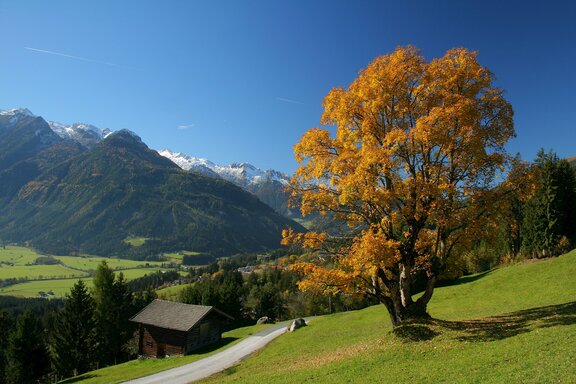 Neukirchen am Großvenediger ©Wildkogel-Arena Neukirchen & Bramberg