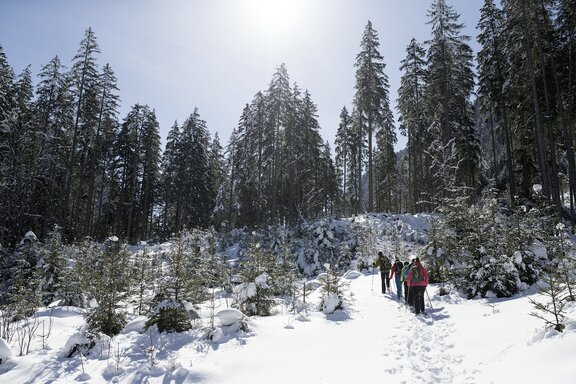 Winterwandern ©Wildkogel Arena Neukirchen & Bramberg