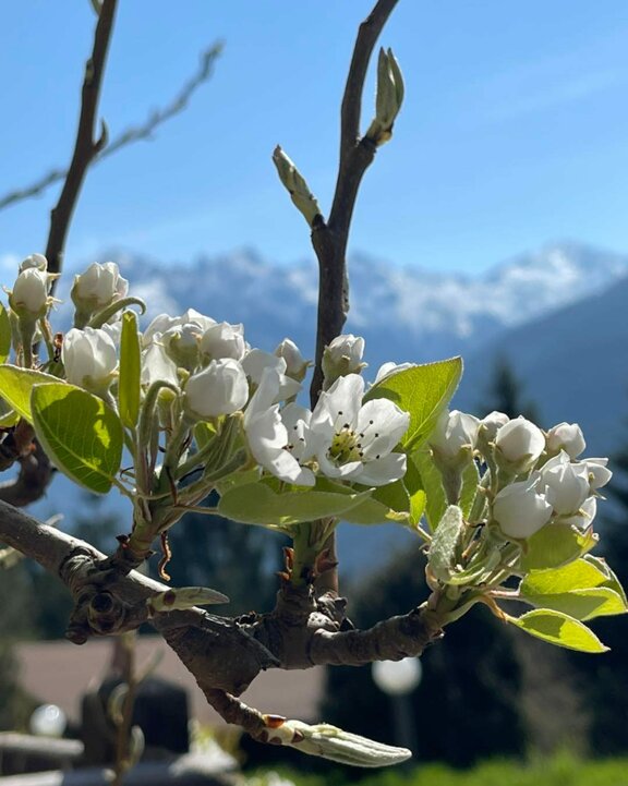 Erholung im Naturdorf